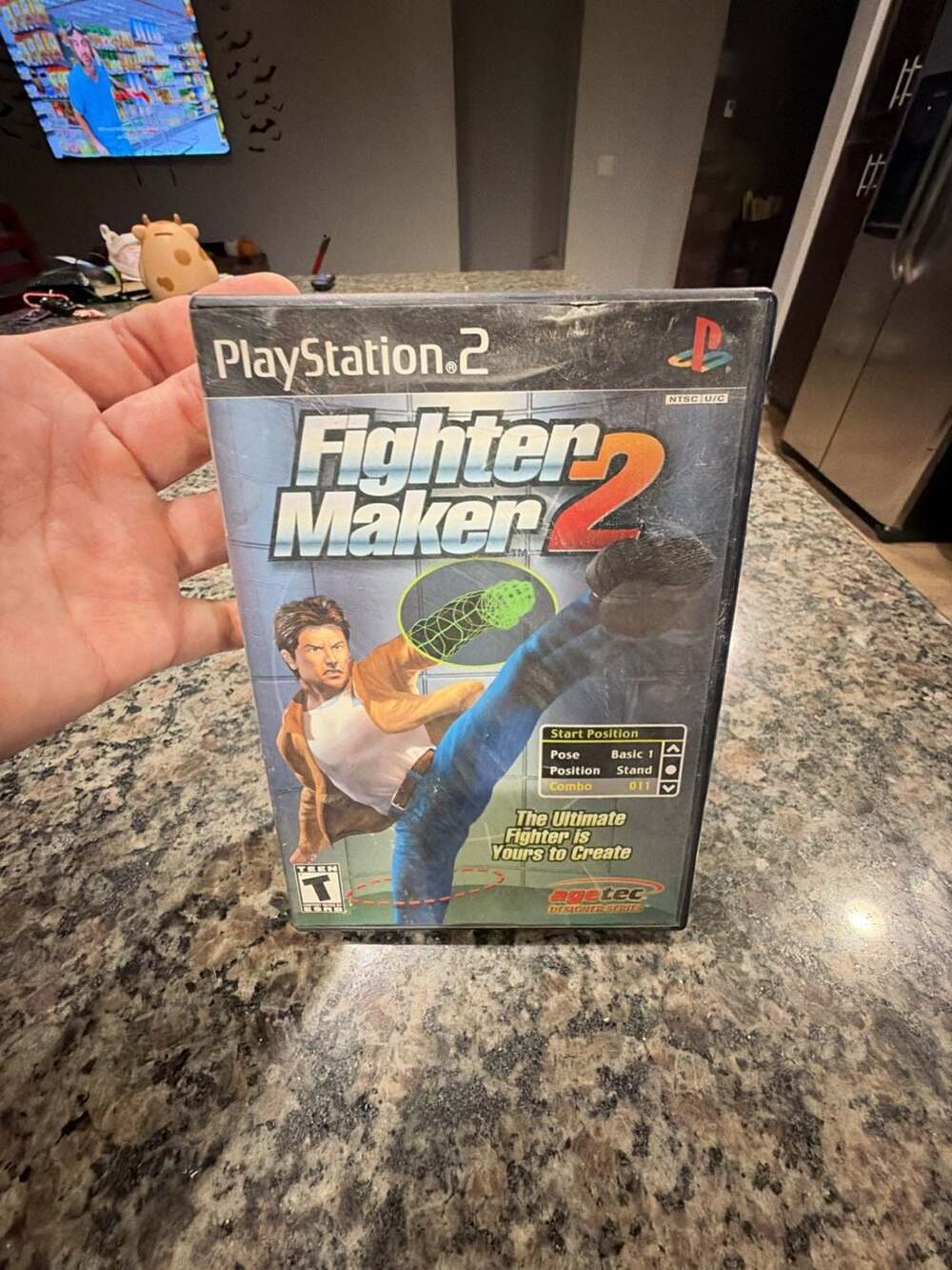 Agetec Fighter Maker 2 PlayStation 2 Game Complete